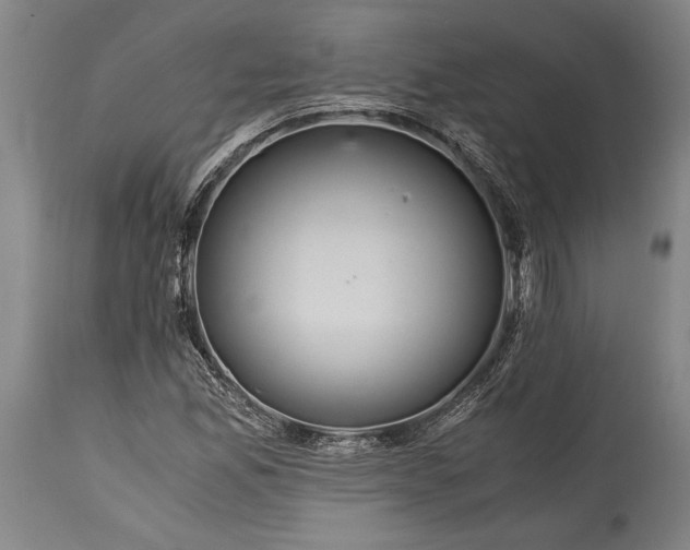 X0000115411165200911171352