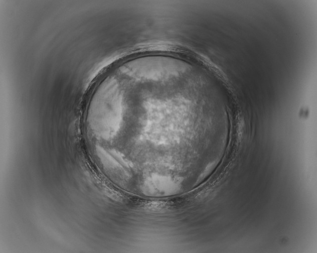 X0000115411166200911171352