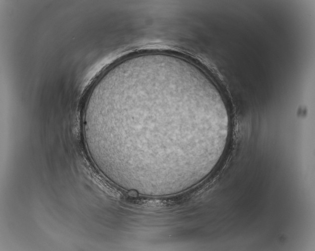 X0000115411167200911171352