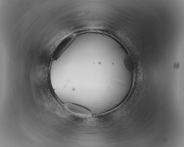 X0000115411169200911171352