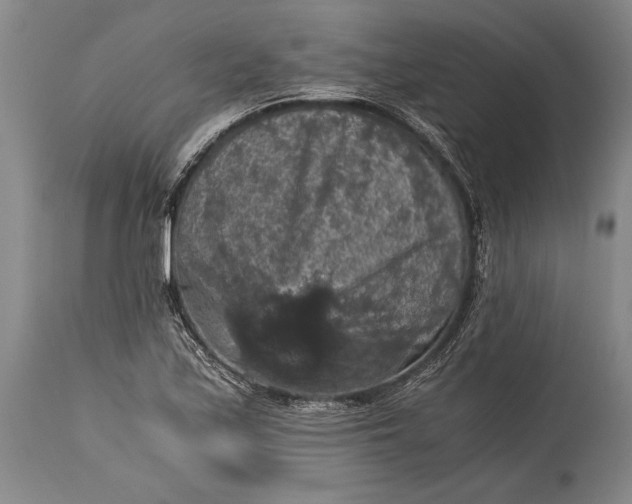X0000115411171200911171352