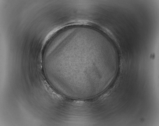 X0000115411172200911171352