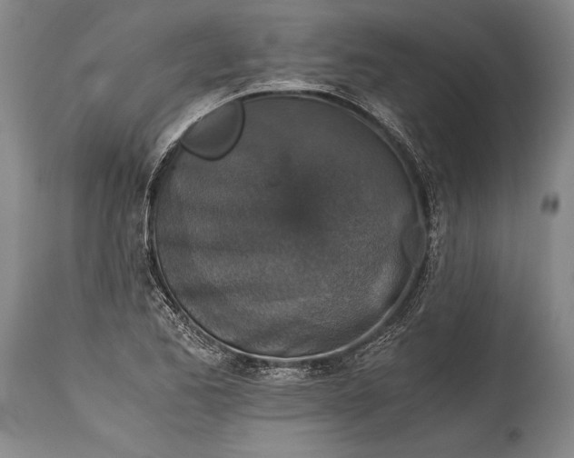 X0000115411173200911171352