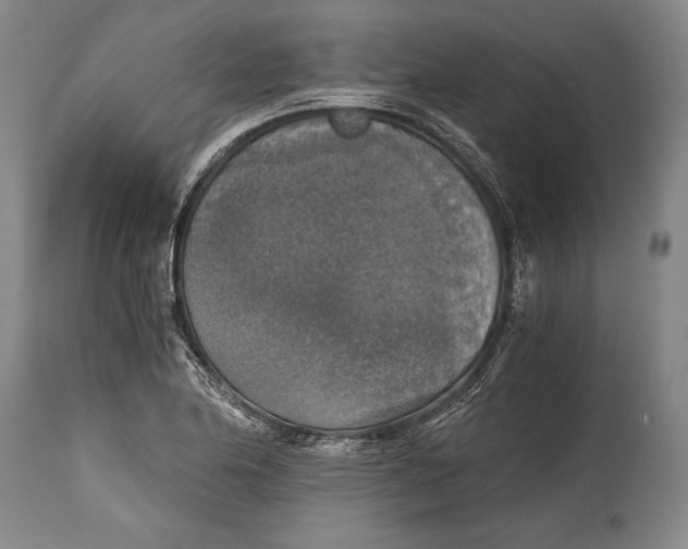 X0000115411174200911171352