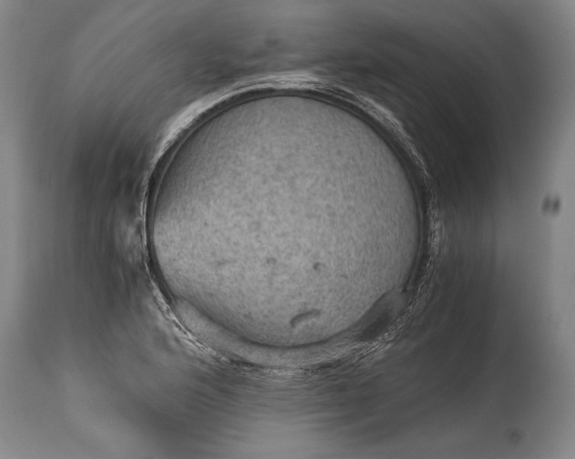 X0000115411176200911171352