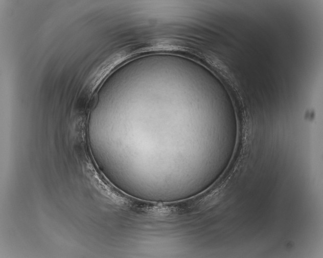 X0000115411177200911171352