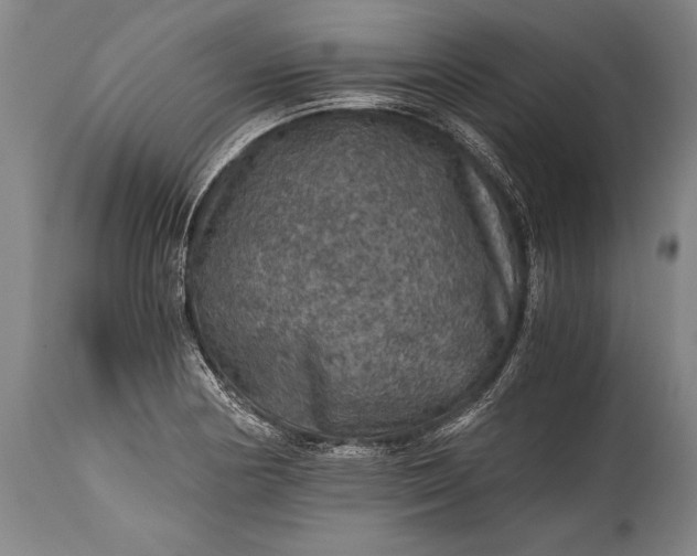 X0000115411178200911171352