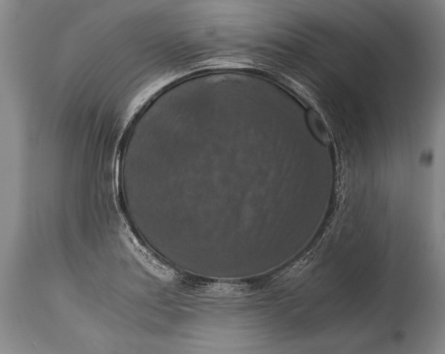 X0000115411179200911171352