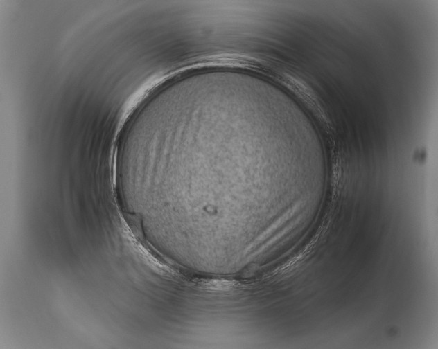 X0000115411180200911171352