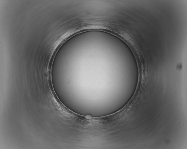 X0000115411181200911171352