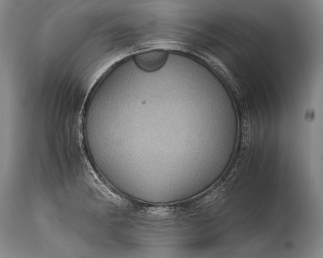 X0000115411182200911171352