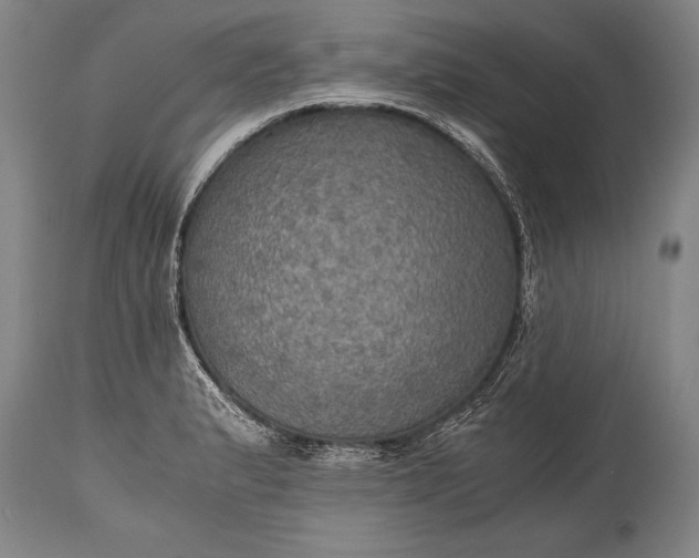 X0000115411183200911171352
