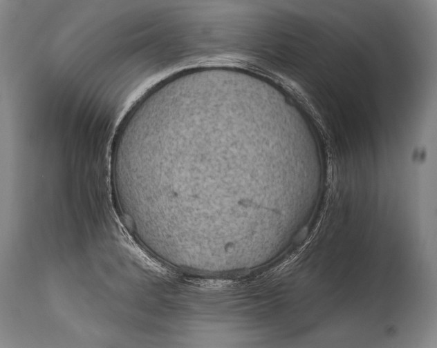 X0000115411184200911171352