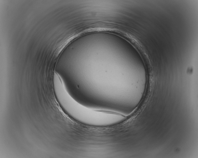 X0000115411185200911171352