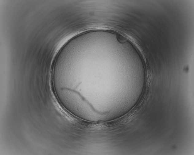 X0000115411187200911171352