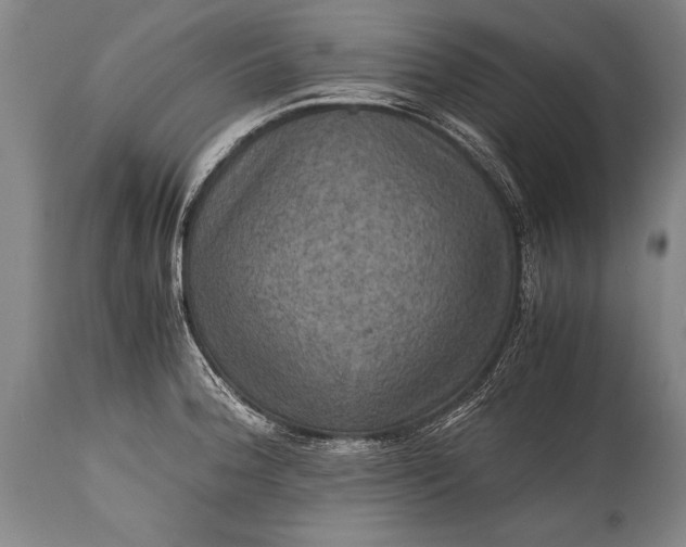 X0000115411188200911171352