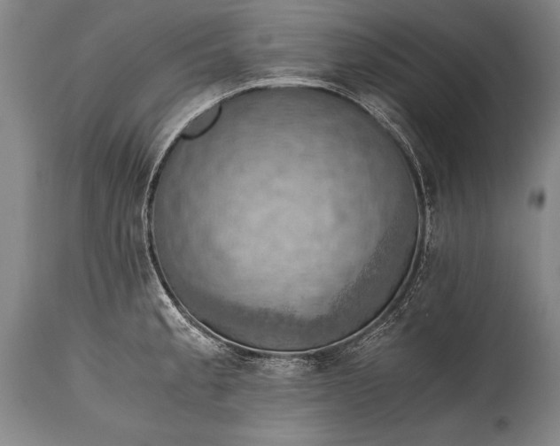 X0000115411189200911171352
