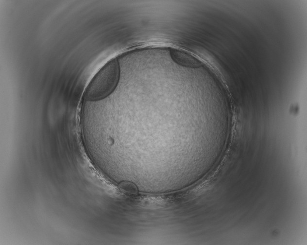 X0000115411190200911171352