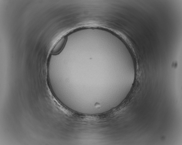 X0000115411191200911171352