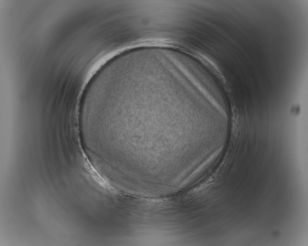 X0000115411192200911171352