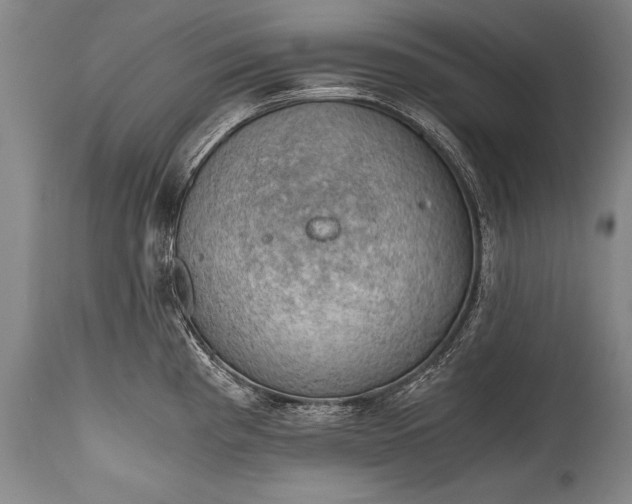 X0000115411193200911171352