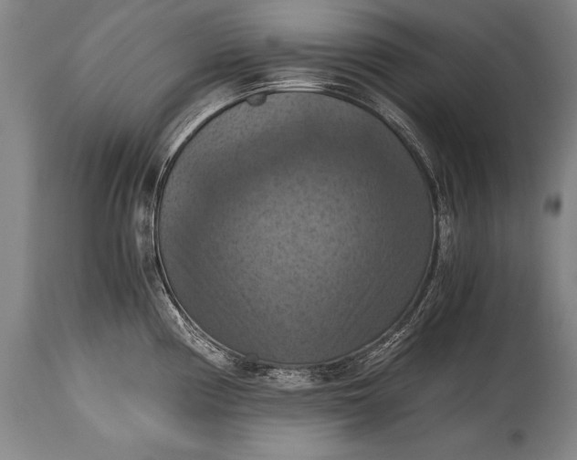 X0000115411194200911171352