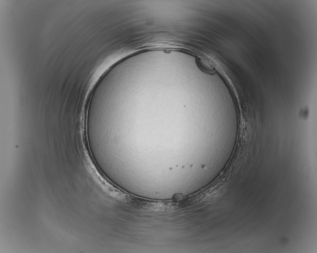 X0000115411195200911171352