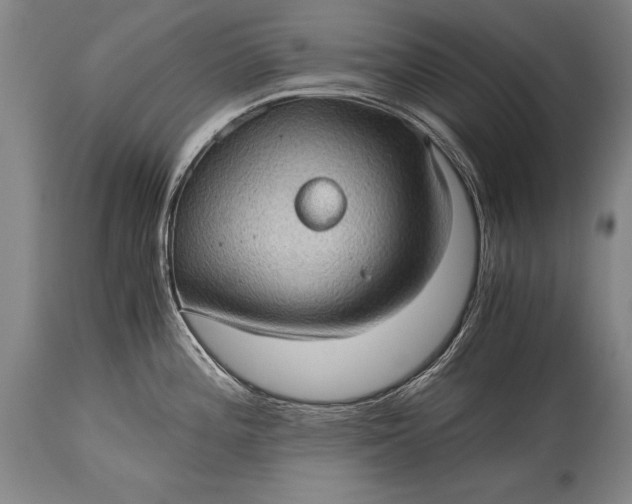 X0000115411196200911171352
