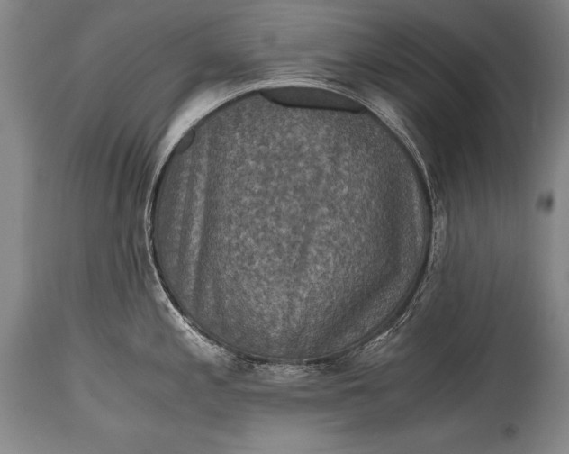 X0000115411197200911171352