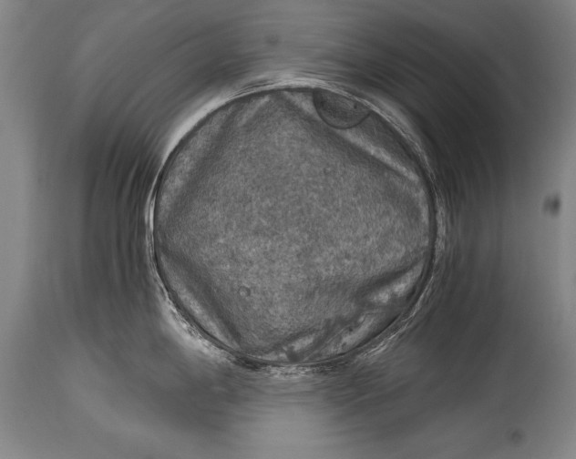 X0000115411198200911171352