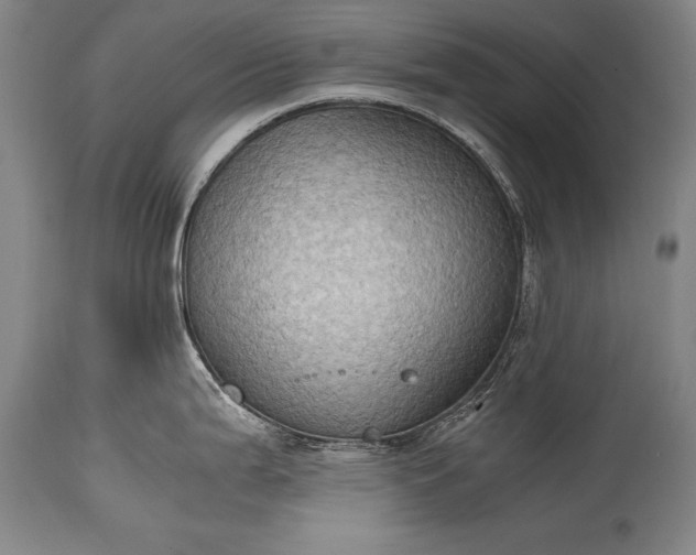 X0000115411199200911171352