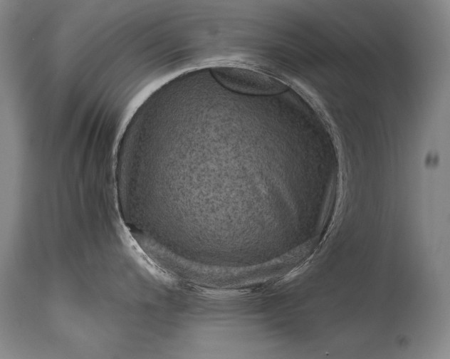 X0000115411200200911171352