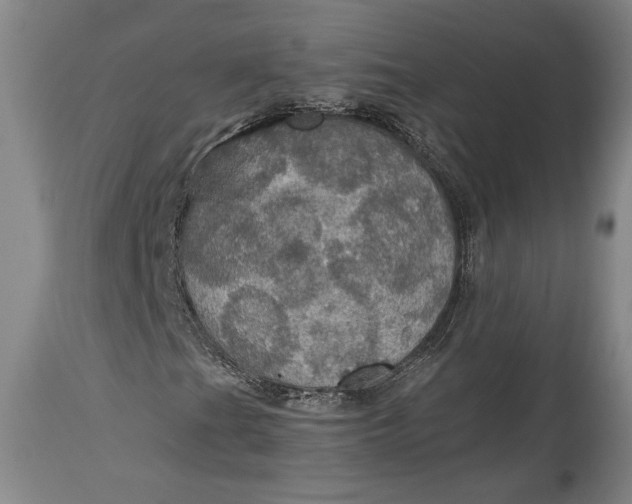 X0000115411201200911171351