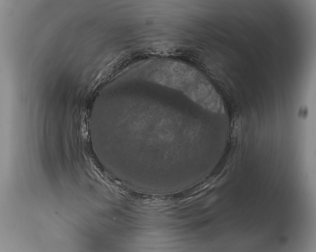 X0000115411202200911171351