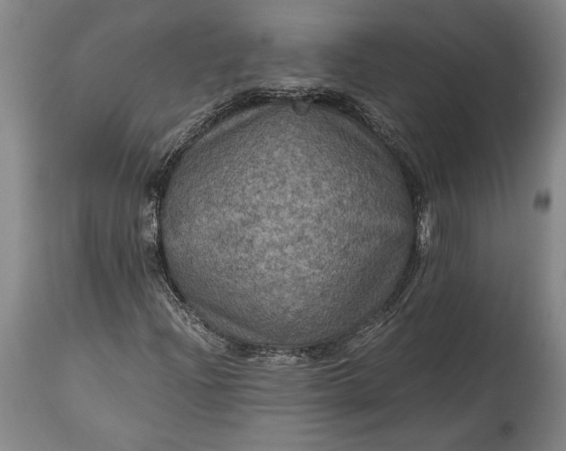 X0000115411204200911171351