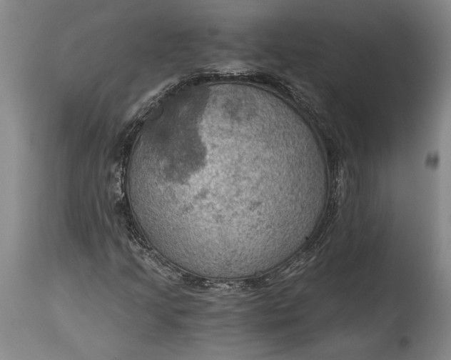 X0000115411205200911171351