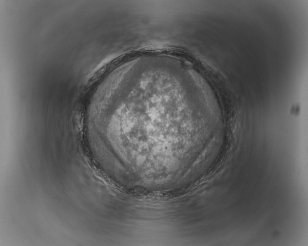 X0000115411206200911171351