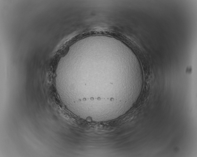 X0000115411207200911171351