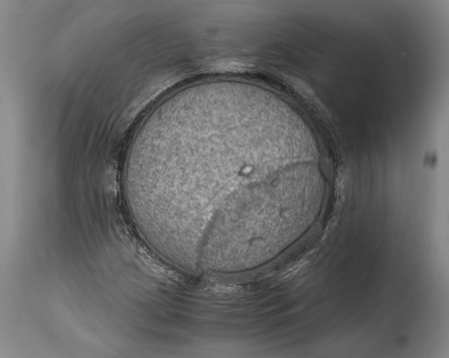 X0000115411209200911171351