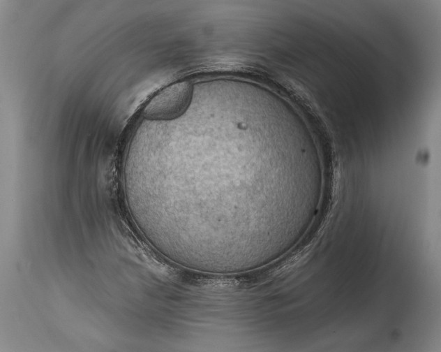 X0000115411210200911171351