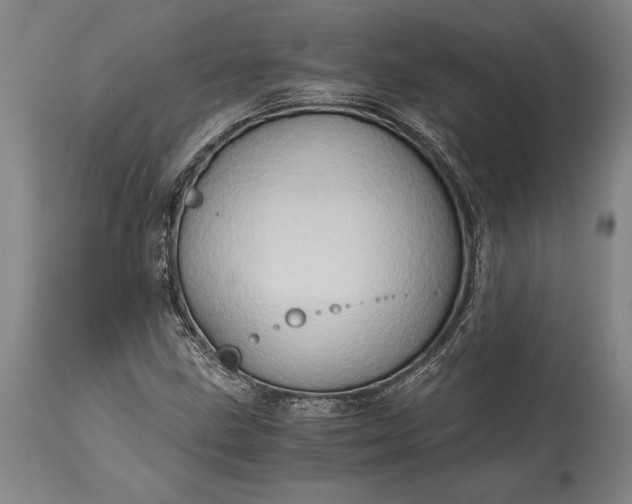 X0000115411211200911171351