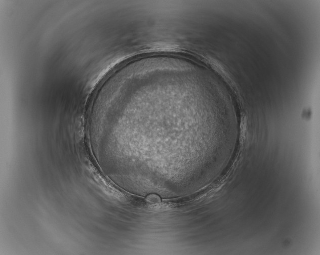 X0000115411212200911171351