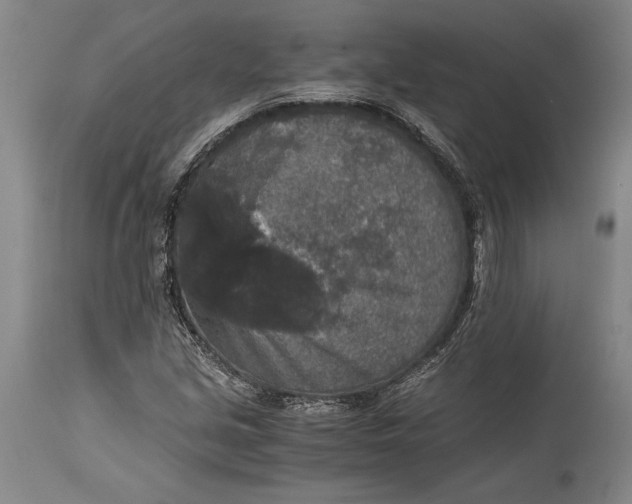 X0000115411213200911171351