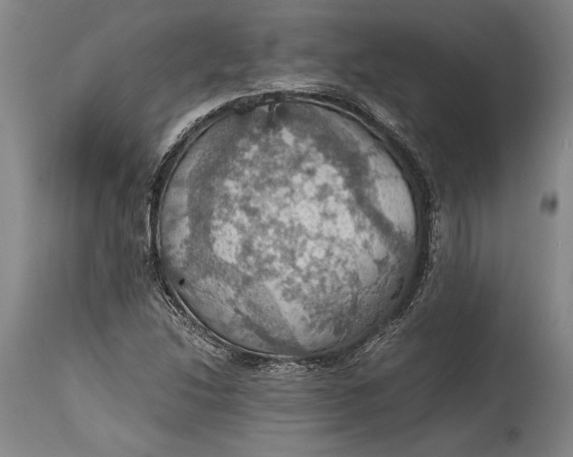 X0000115411214200911171351