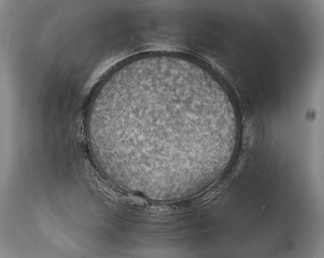 X0000115411215200911171351