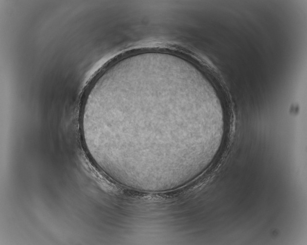 X0000115411216200911171351