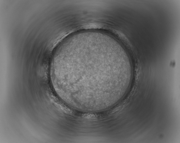 X0000115411217200911171351
