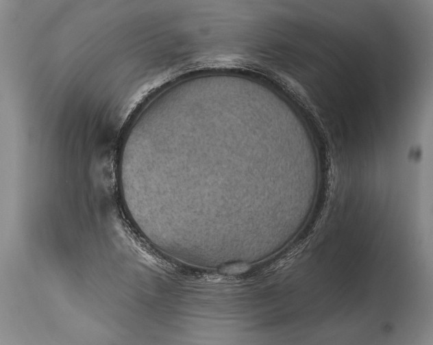 X0000115411218200911171351
