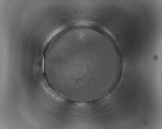 X0000115411219200911171351