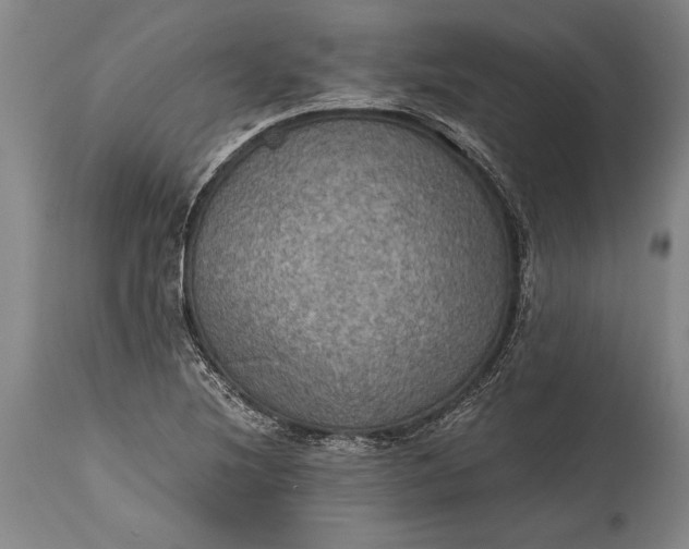 X0000115411220200911171351